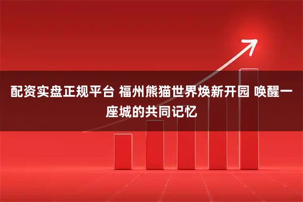 配资实盘正规平台 福州熊猫世界焕新开园 唤醒一座城的共同记忆