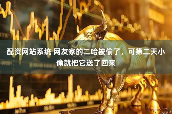 配资网站系统 网友家的二哈被偷了，可第二天小偷就把它送了回来