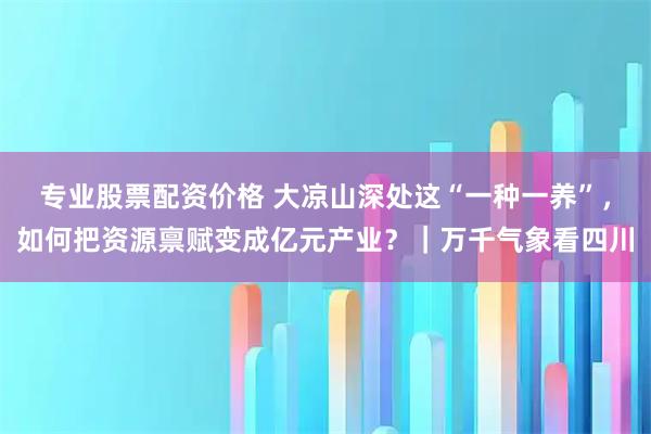 专业股票配资价格 大凉山深处这“一种一养”，如何把资源禀赋变成亿元产业？｜万千气象看四川